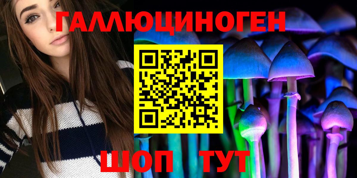 Псилоцибиновые грибы мухоморы Казань